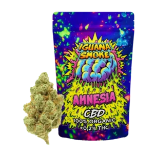 Iguana Amnesia 10gr