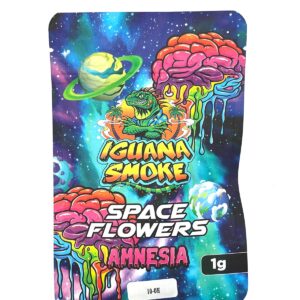 Flor 10-OH Amnesia Space Flowers 1 g – Iguana Smoke