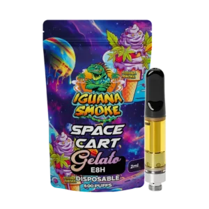 Iguana Smoke Cartucho E8H Space – Gelato 2 ml